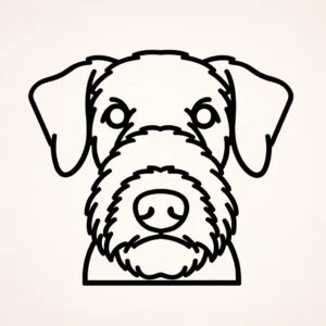 Airedale terrier