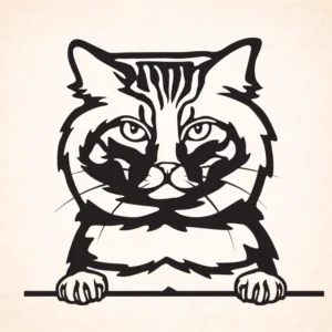 Amerikaanse bobtail