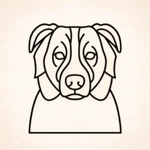 Australische herder