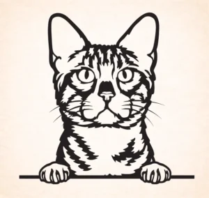 Bengal
