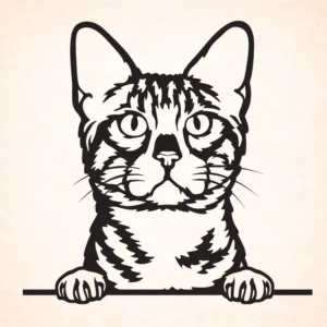 Bengal