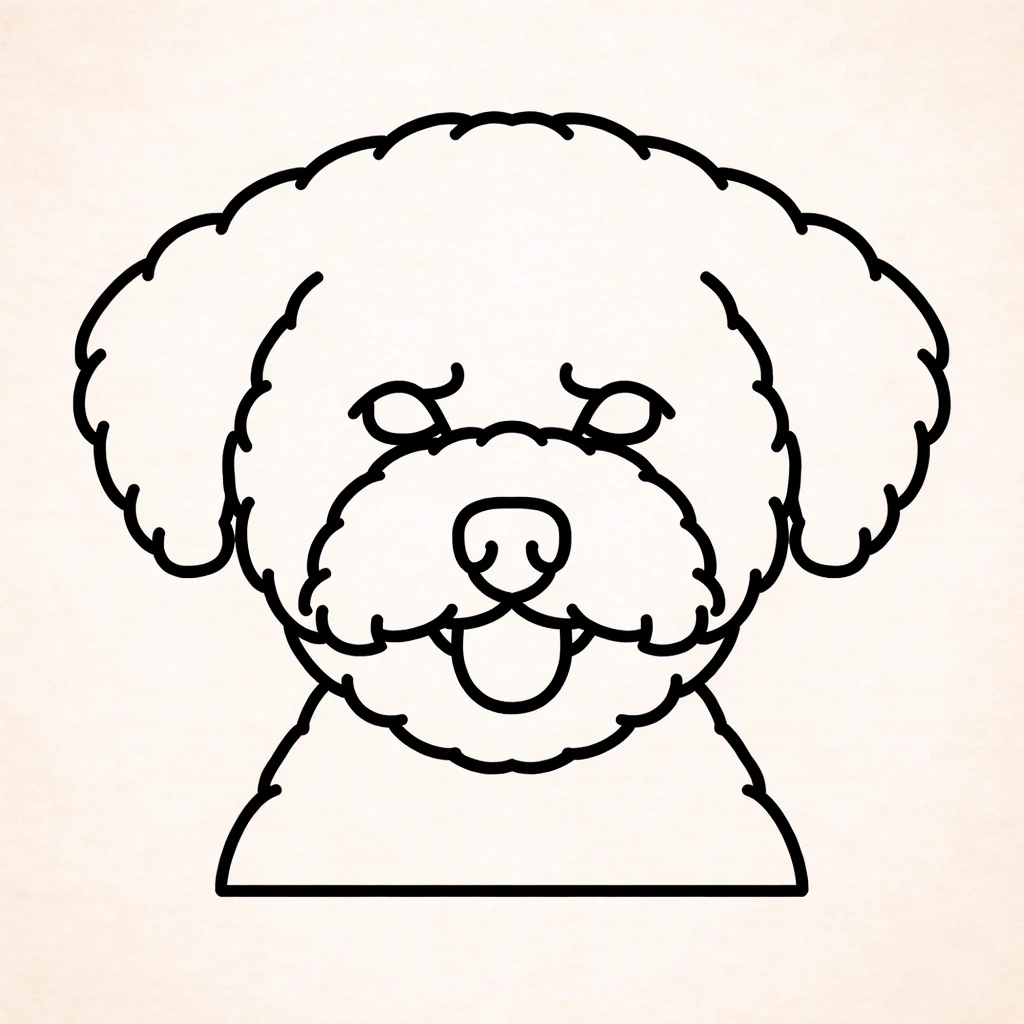 Bichon Frise