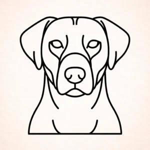 Blue Lacy