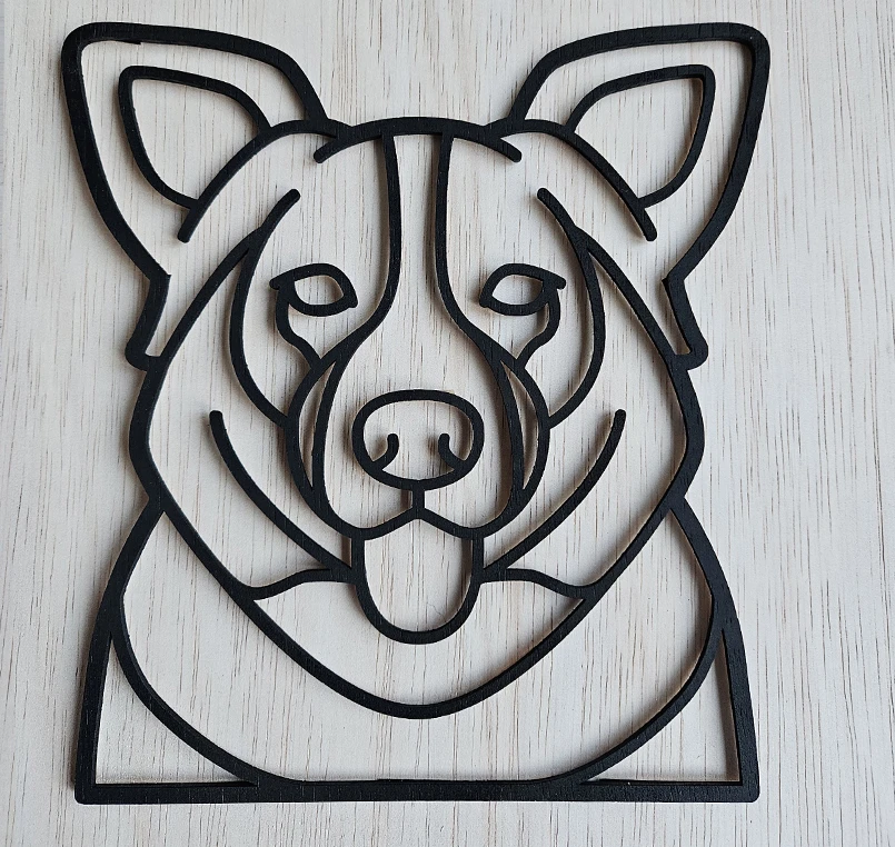 Border Collie - Afbeelding 3