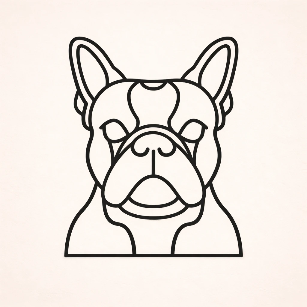 Boston terrier