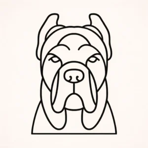 Cane Corso