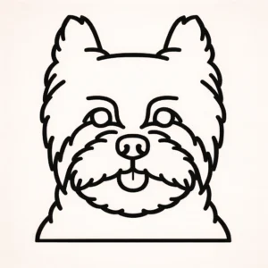 Carin terrier