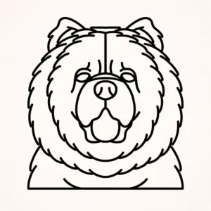 Chow Chow