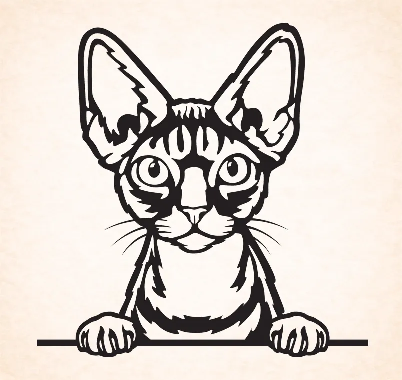 Devon Rex