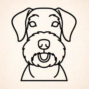 Giant Schnauzers