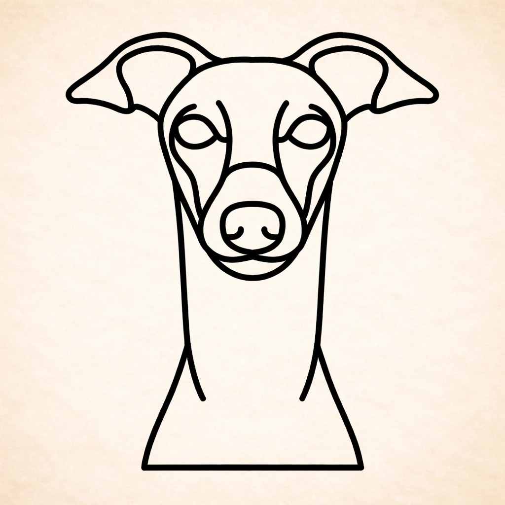 Greyhound