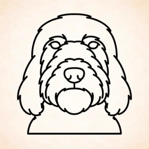 Grote Basset Griffon Vendeen