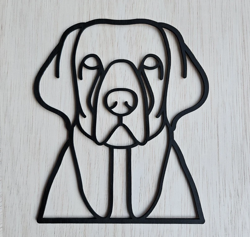 Labrador retriever - Afbeelding 2