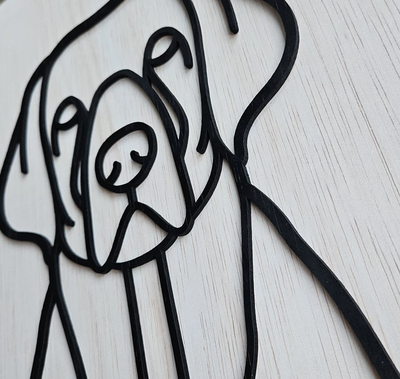 Labrador retriever - Afbeelding 3