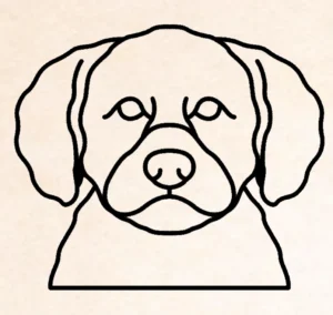Lagotto Ramagnolo