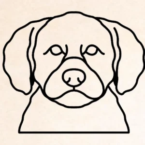 Lagotto Ramagnolo