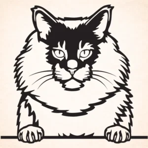Maine Coon