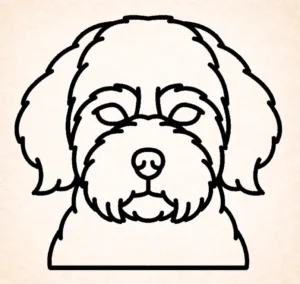 Maltipoo