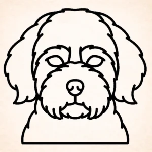 Maltipoo