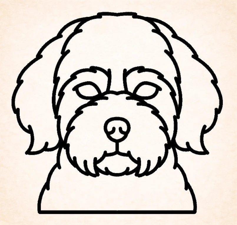 Maltipoo