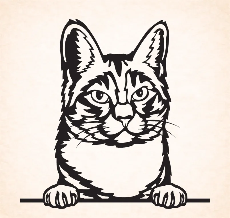 Manx