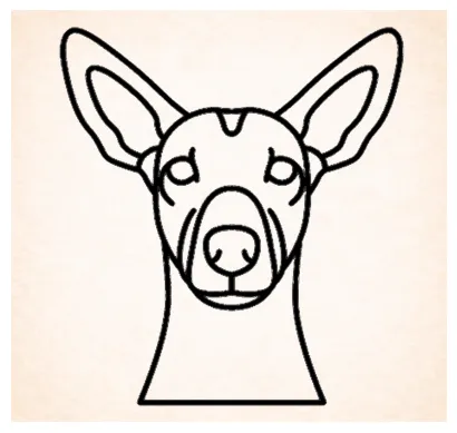 Mexicaanse naakthond (Xoloitzcuintli)