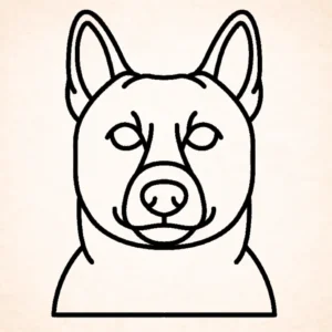 Noorse buhond