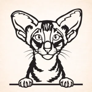 Oriental korthaar