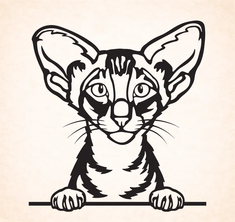 Oriental korthaar