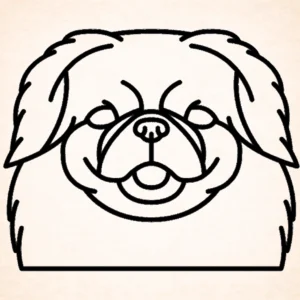 Pekingese