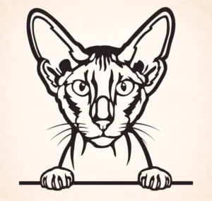 Peterbald