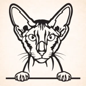 Peterbald