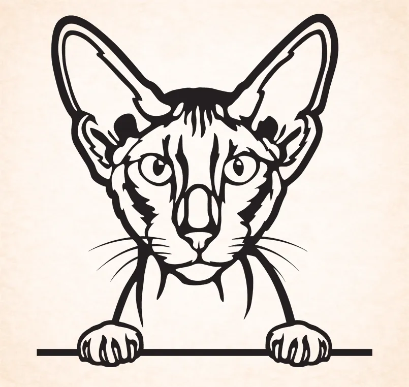 Peterbald