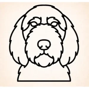 Petits Bassets Griffons Vendeens