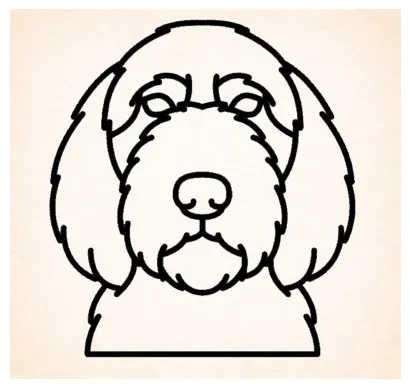 Petits Bassets Griffons Vendeens