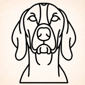 Pointer