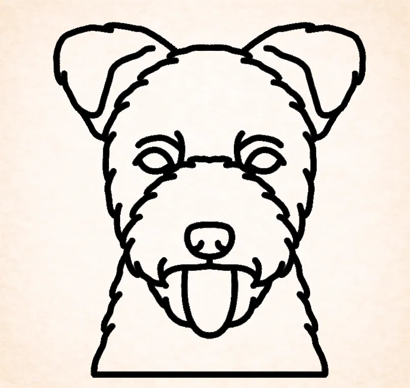 Pumi
