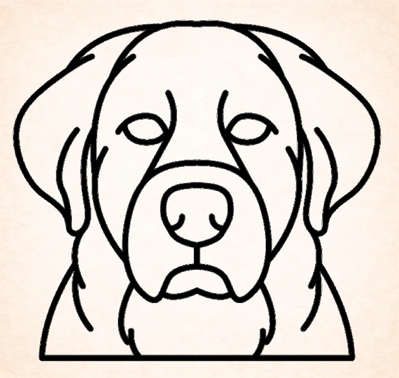 Pyreneese berghond