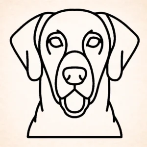 Retriever (Chesapeake Bay)