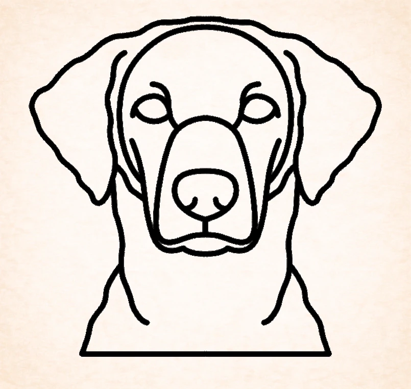 Retriever (Curly-Coated)