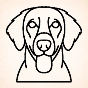Retriever (Flat Coated)
