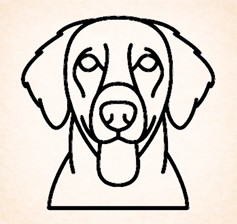 Retriever (Flat Coated)