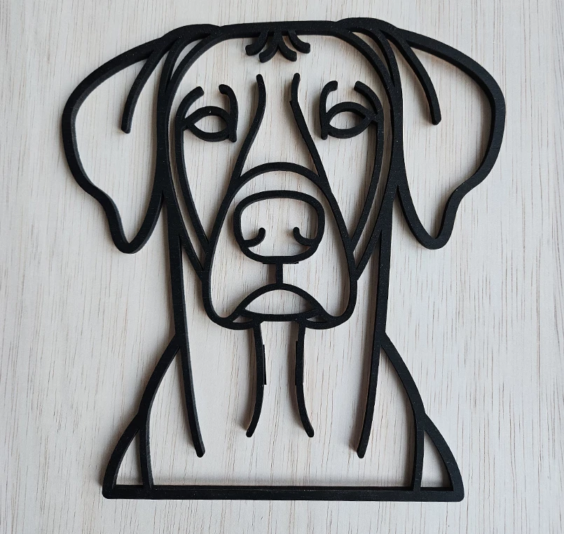Rhodesian Ridgeback - Afbeelding 2