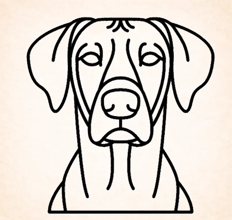 Rhodesian Ridgeback