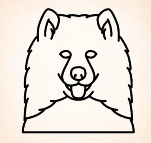 Samoyeds