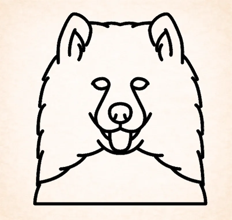 Samoyeds