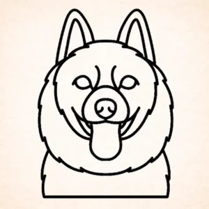 Schipperkes