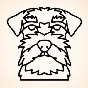 Schnauzer