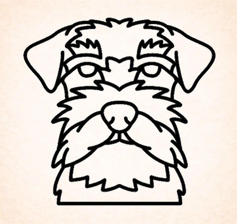 Schnauzer