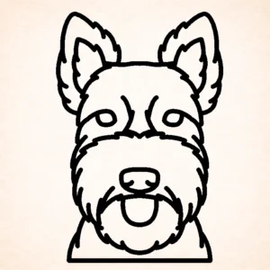 Schotse terrier